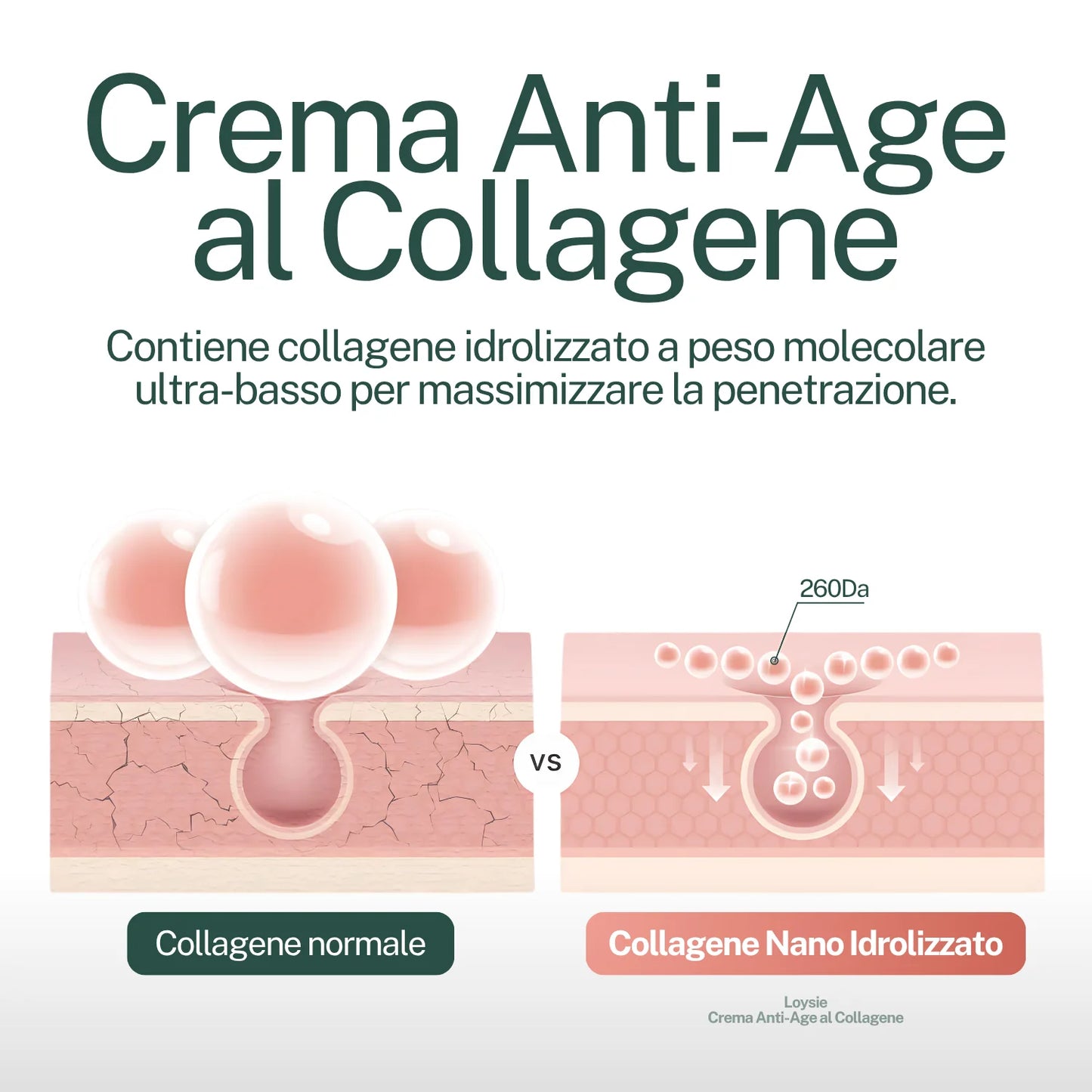 Crema Viso Anti-Age al Collagene