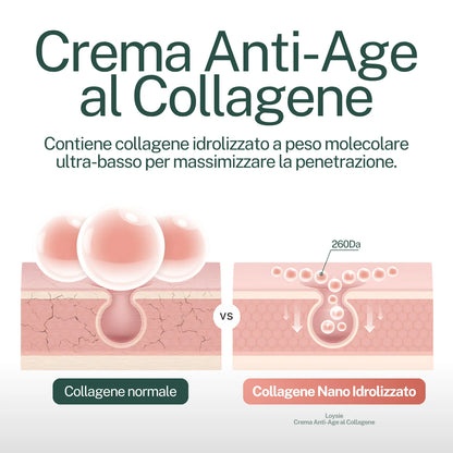 Crema Viso Anti-Age al Collagene