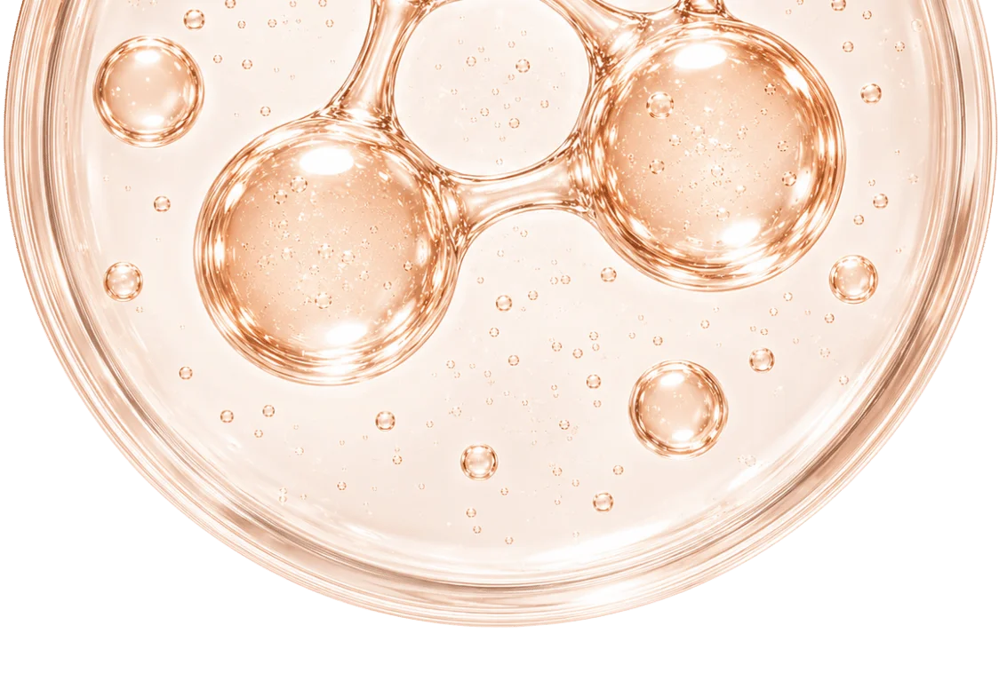 Fermento di Galactomiceti