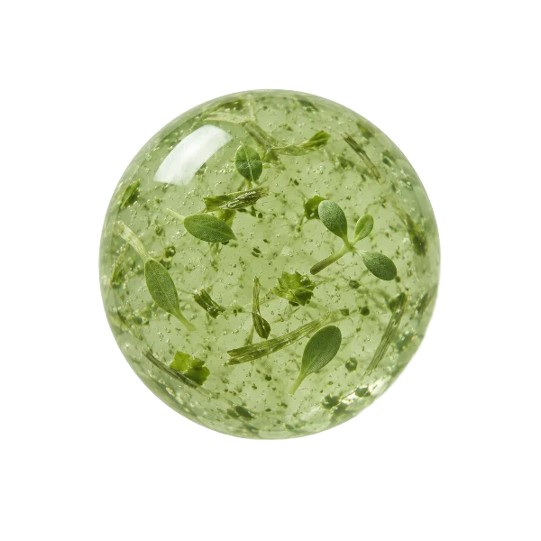 Centella Asiatica